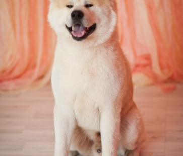 миёши